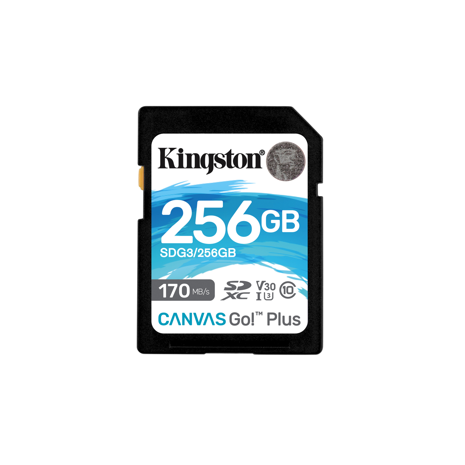 Kingston 256GB SDXC Canvas Go Plus 170R C10 UHS-I U3 V30, sdg3/256gb, 256 GB, SD, Klasse 10, 170 MB/s, 90