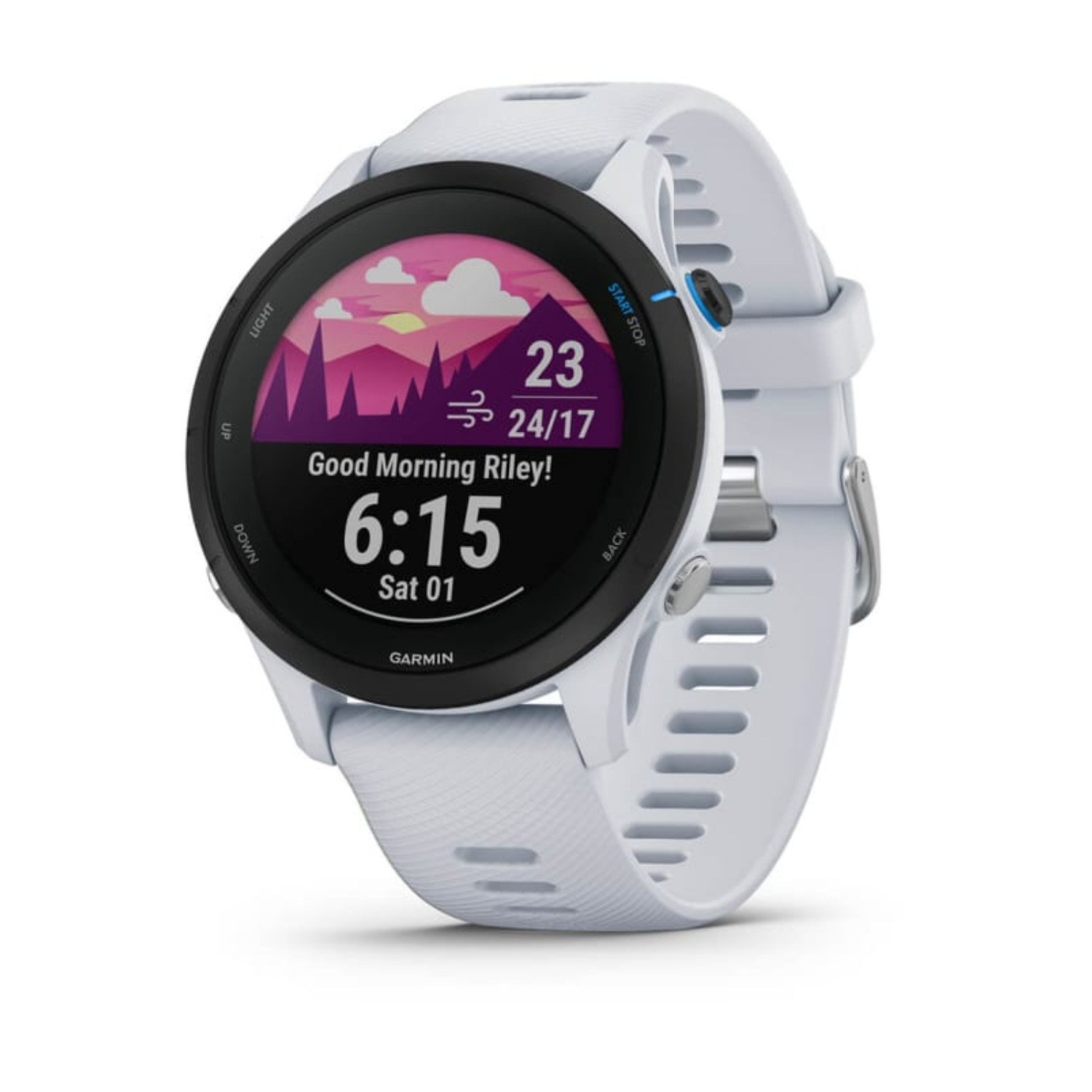 Garmin Forerunner 255 Music, 010-02641-31, MIP, screen, GPS, 49 g