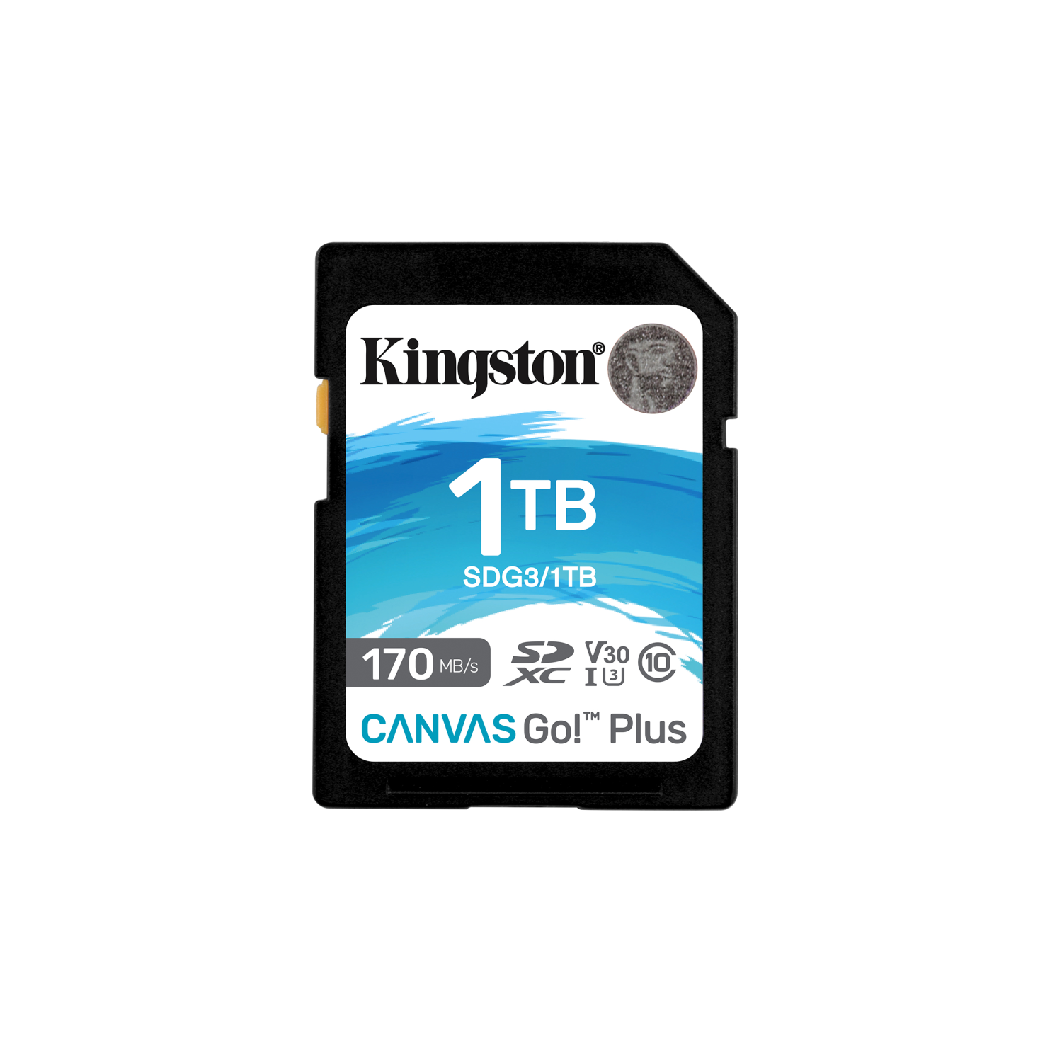 Kingston 1TB SDXC Canvas Go Plus 170R C10 UHS-I U3 V30, sdg3/1tb, 1 TB, SD, Klasse 10, 170 MB/s, 90 MB/