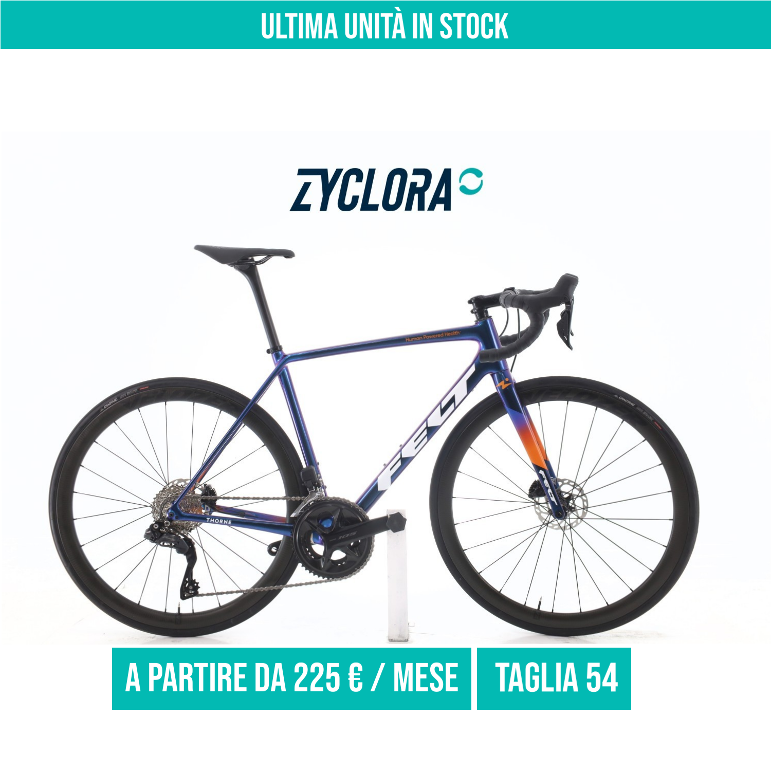 Felt FR2 Team Edition Carbonio Di2 12V taglia 54 Semi-nuova