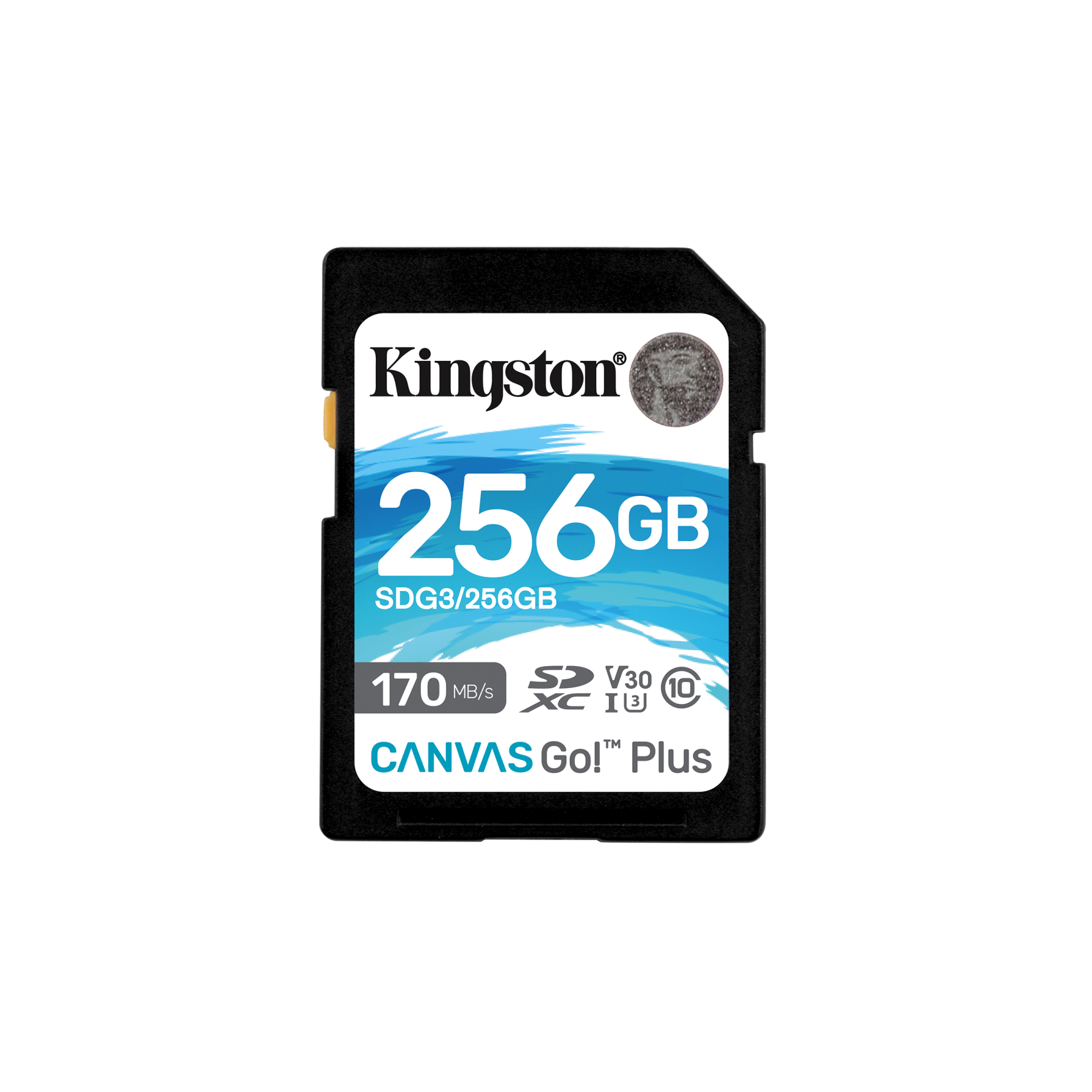 Kingston 256GB SDXC Canvas Go Plus 170R C10 UHS-I U3 V30, sdg3/256gb, 256 GB, SD, Klasse 10, UHS-I, 170 MB/s, 90