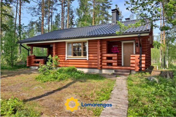 Haapaniemi, cjoe020