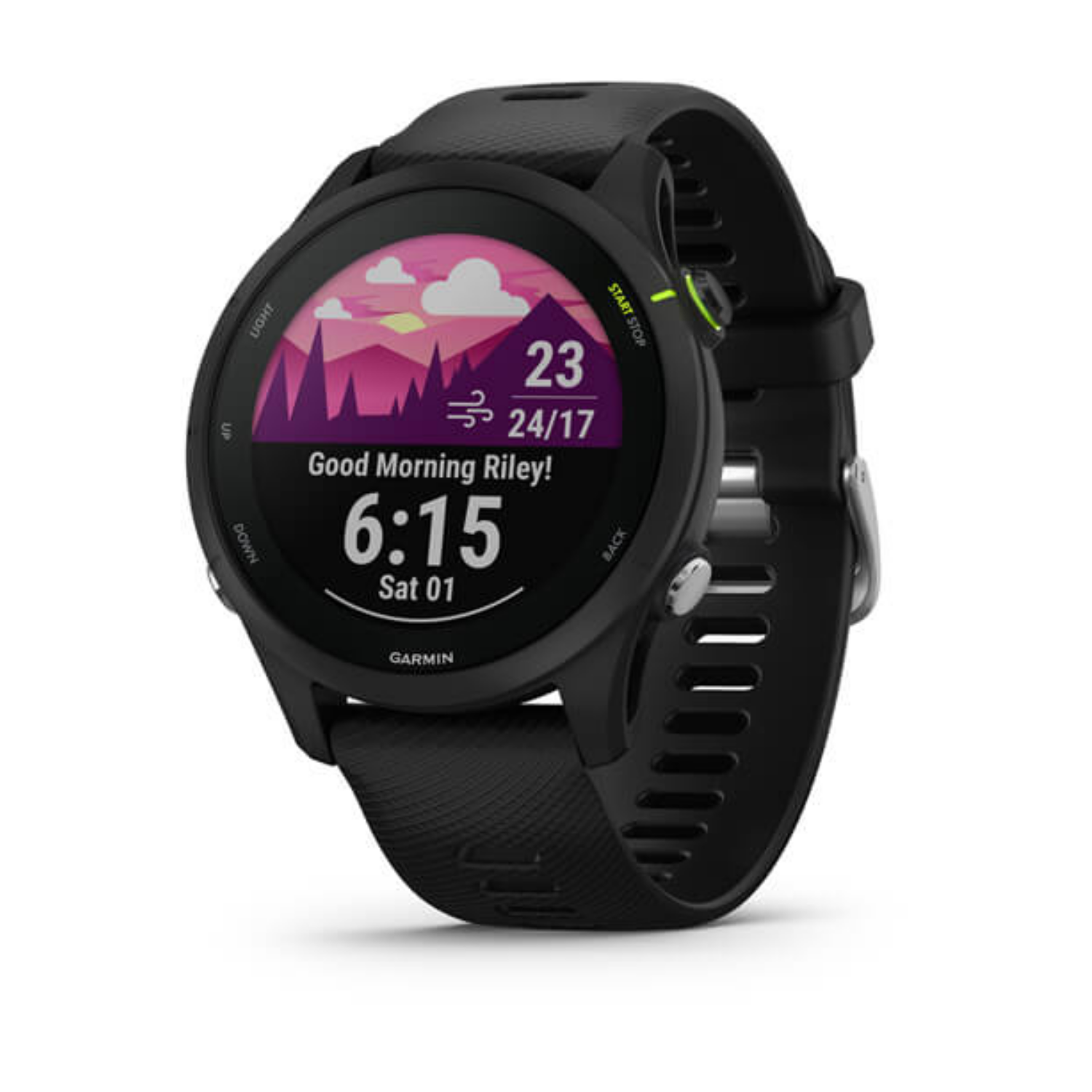 Garmin Forerunner 255 Music, 010-02641-30, MIP, screen, GPS, 49 g