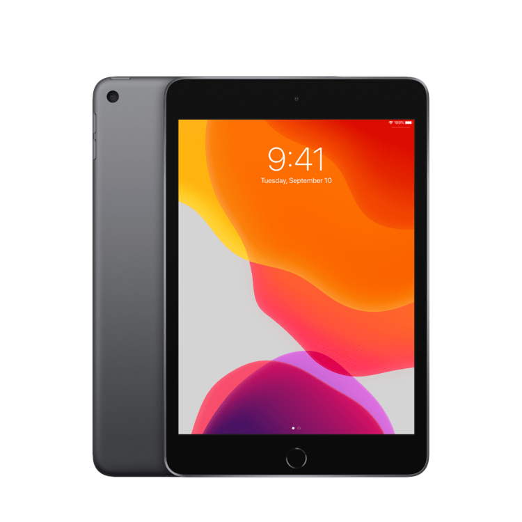 iPad mini 5 256 GB Grigio siderale Wi-Fi + Cell A Ricondizionato