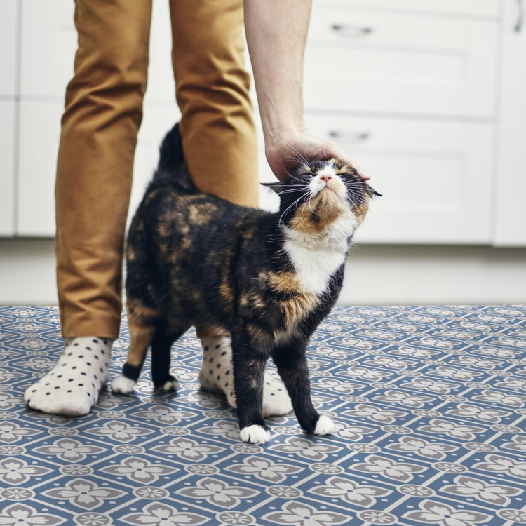 Rouleau+4m+de+sol+PVC+effet+carreaux+ciment+à+coller+alma+peps+Gerflor+-+3000+cm+x+400+cm+x+0.26+cm