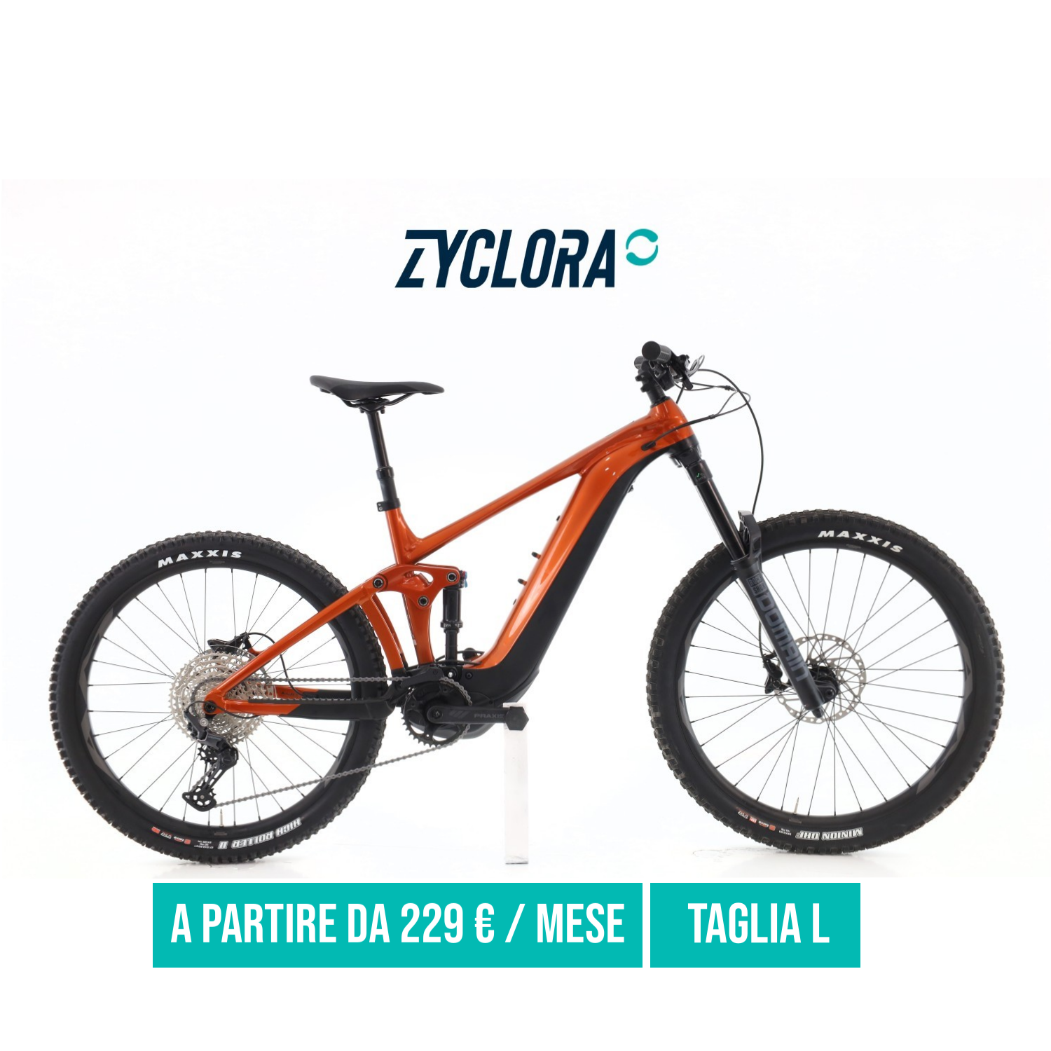 Giant Reing E+3 Pro taglia L Km.0