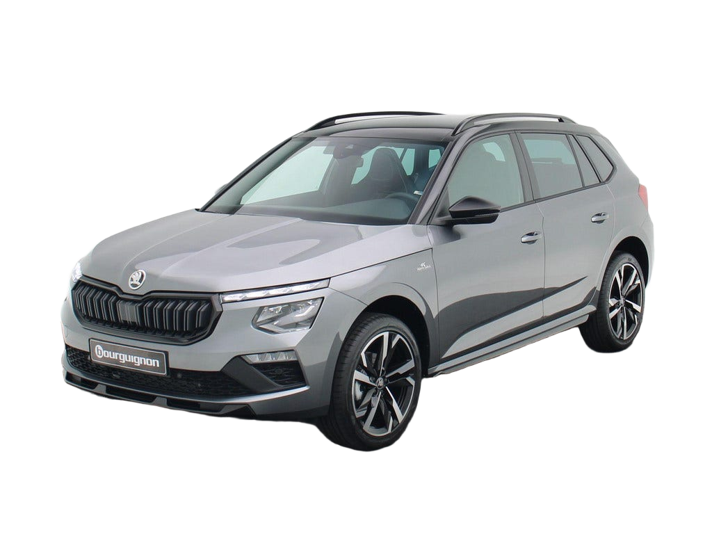 Skoda Kamiq occasion