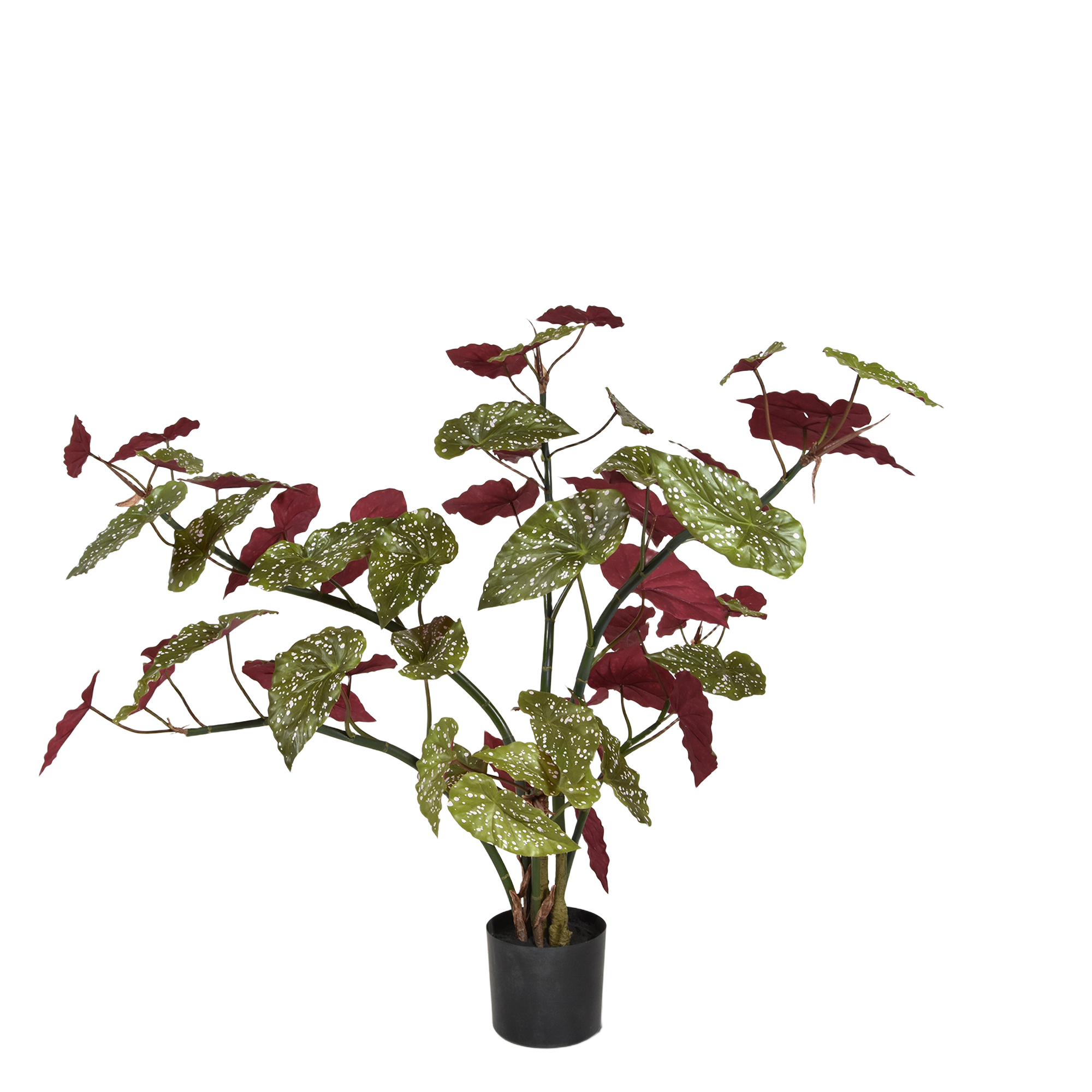 Begonia Maculata kunstplant 110cm