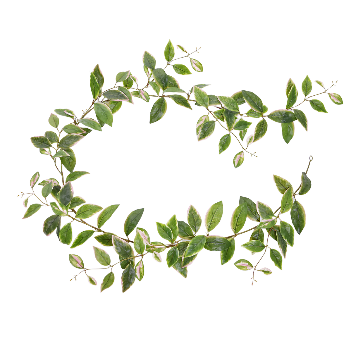 Hoya Carnosa Kunst Guirlande 180cm bont