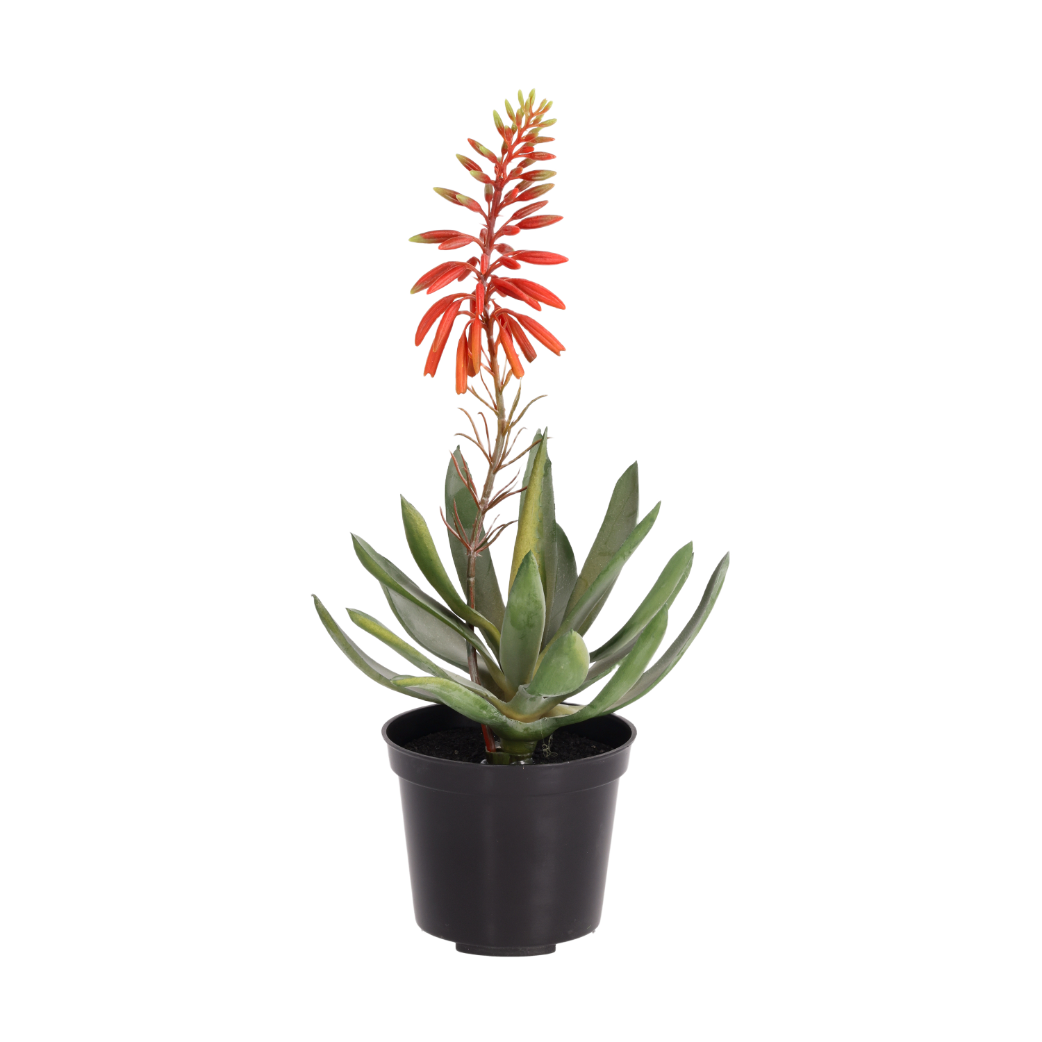 Aloe Vera kunstplant 30cm rood in kweekpot