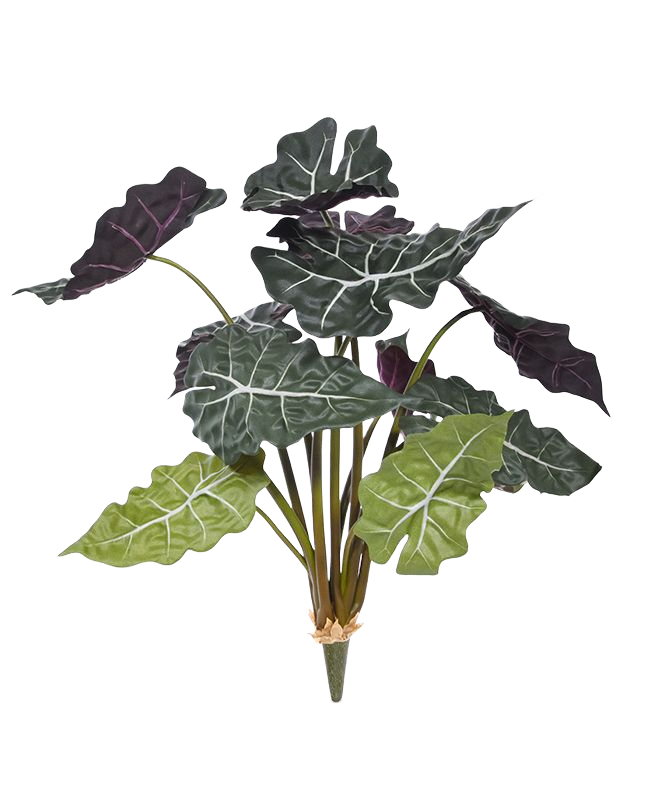 Red Alocasia kunstplant 65cm