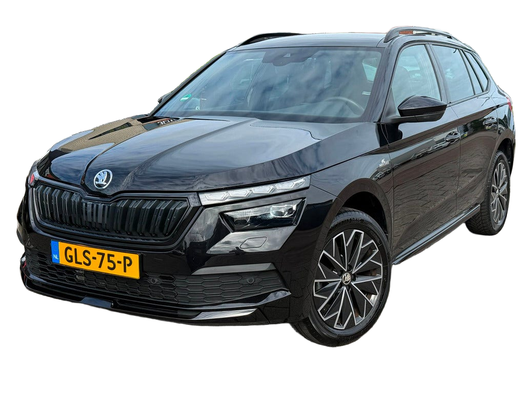 Skoda Kamiq occasion