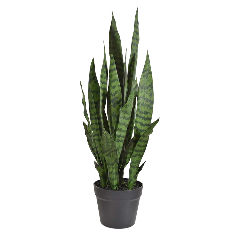 Sanseveria kunstplant N 70cm - groen