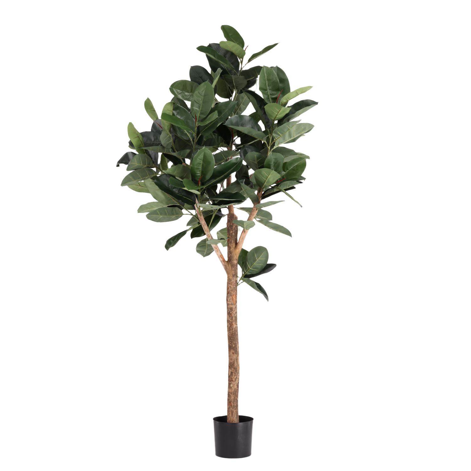 Ficus Elastica Robusta Kunstboom Deluxe 200cm