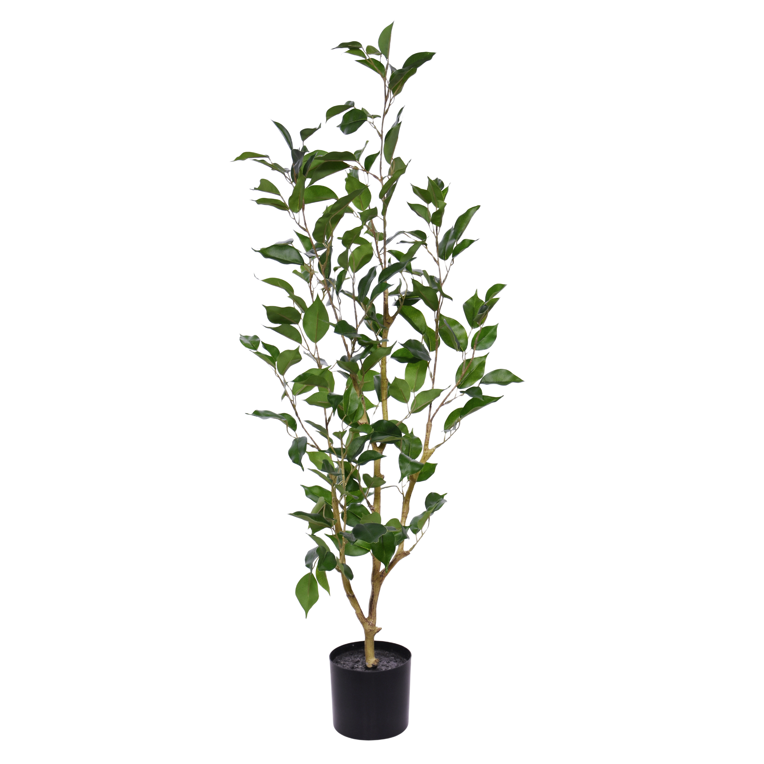 Ficus Exotica Kunstplant NT 100cm