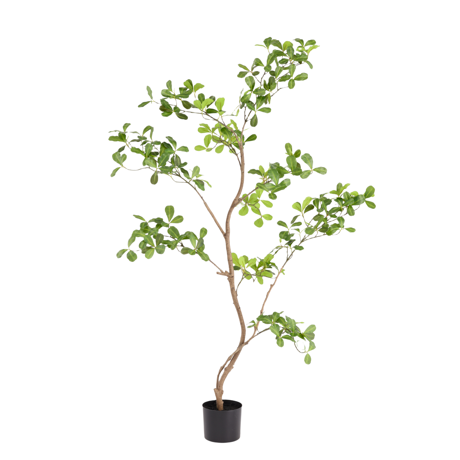 Pittosporum kunstplant 120cm