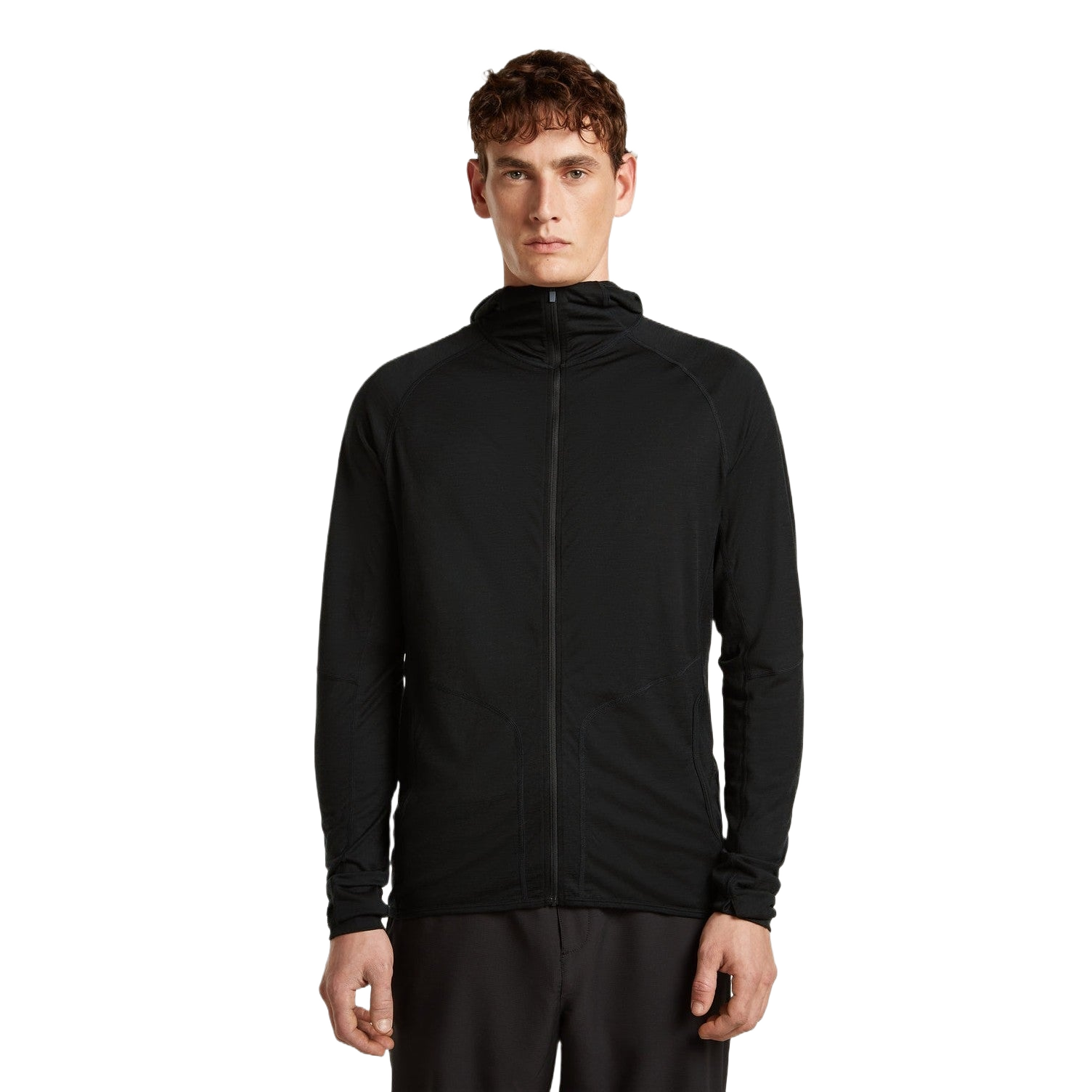 Icebreaker 150 MerinoFine Ace Zip Hoodie Heren