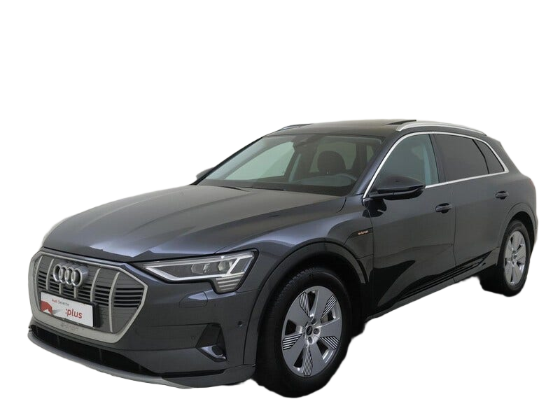 Audi e tron occasion