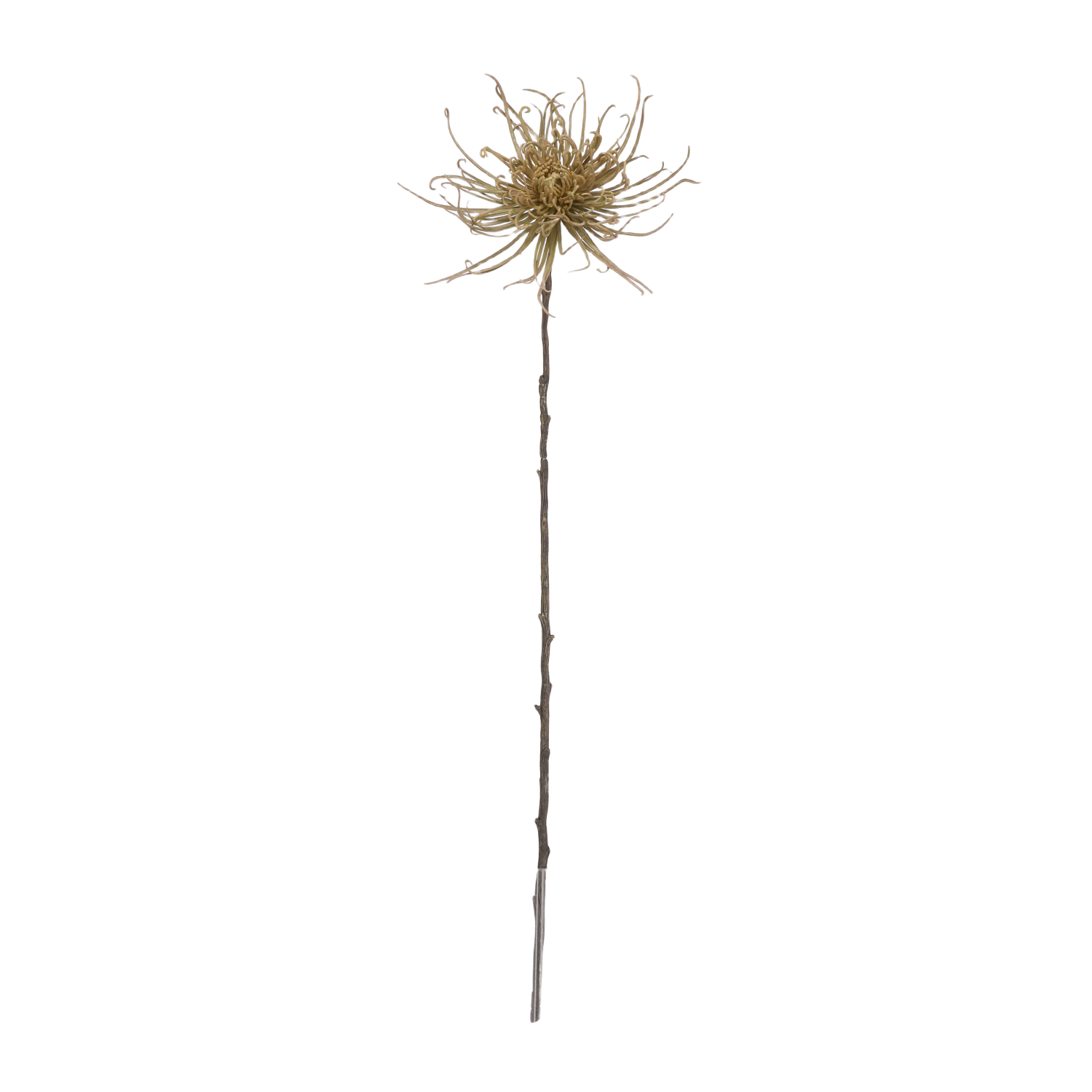 Spider Chrysant kunstbloem 70cm Groen afbeelding 1