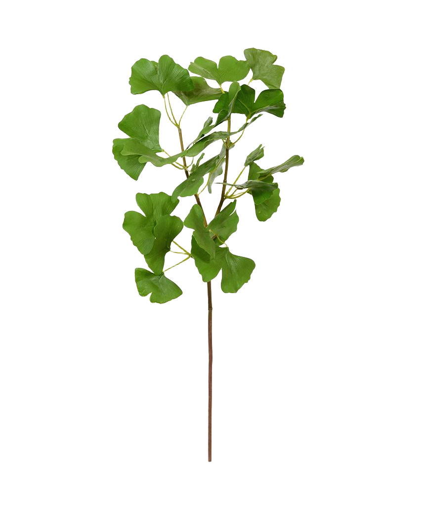 Ginkgo kunstbladtak deluxe 50