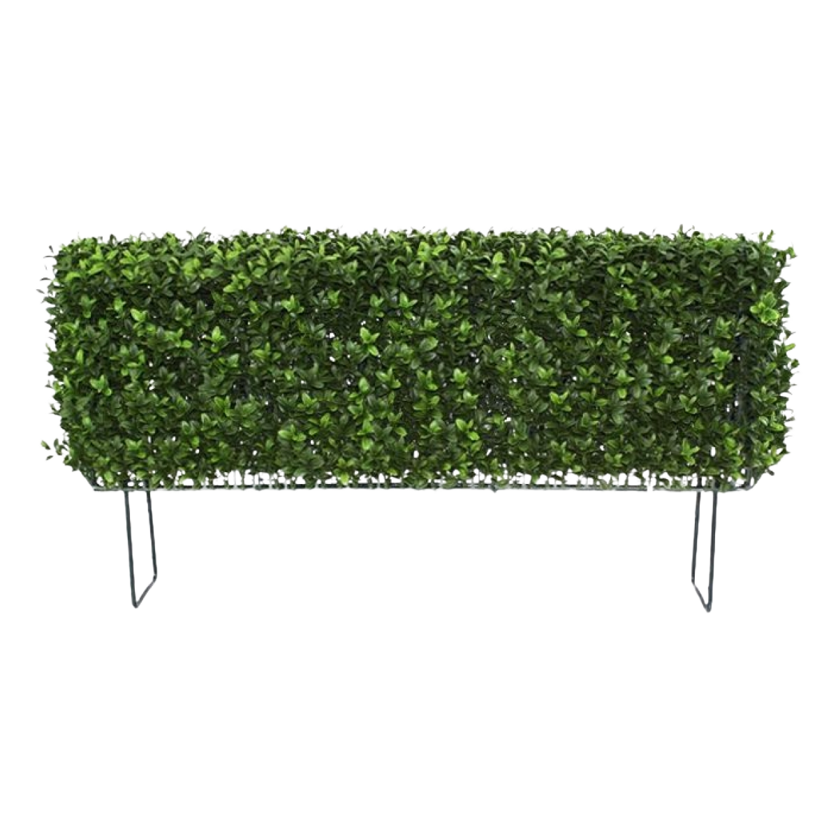 Buxus deluxe kunstheg 80x20x27cm - UV bestendig