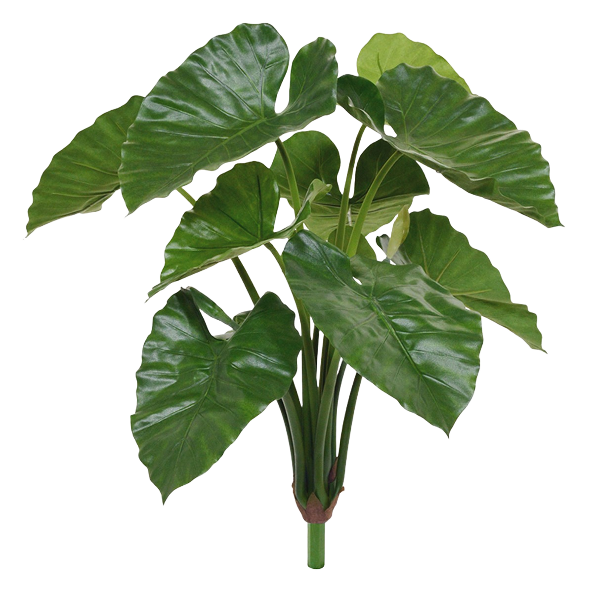 Alocasia Calidora kunstplant 70cm