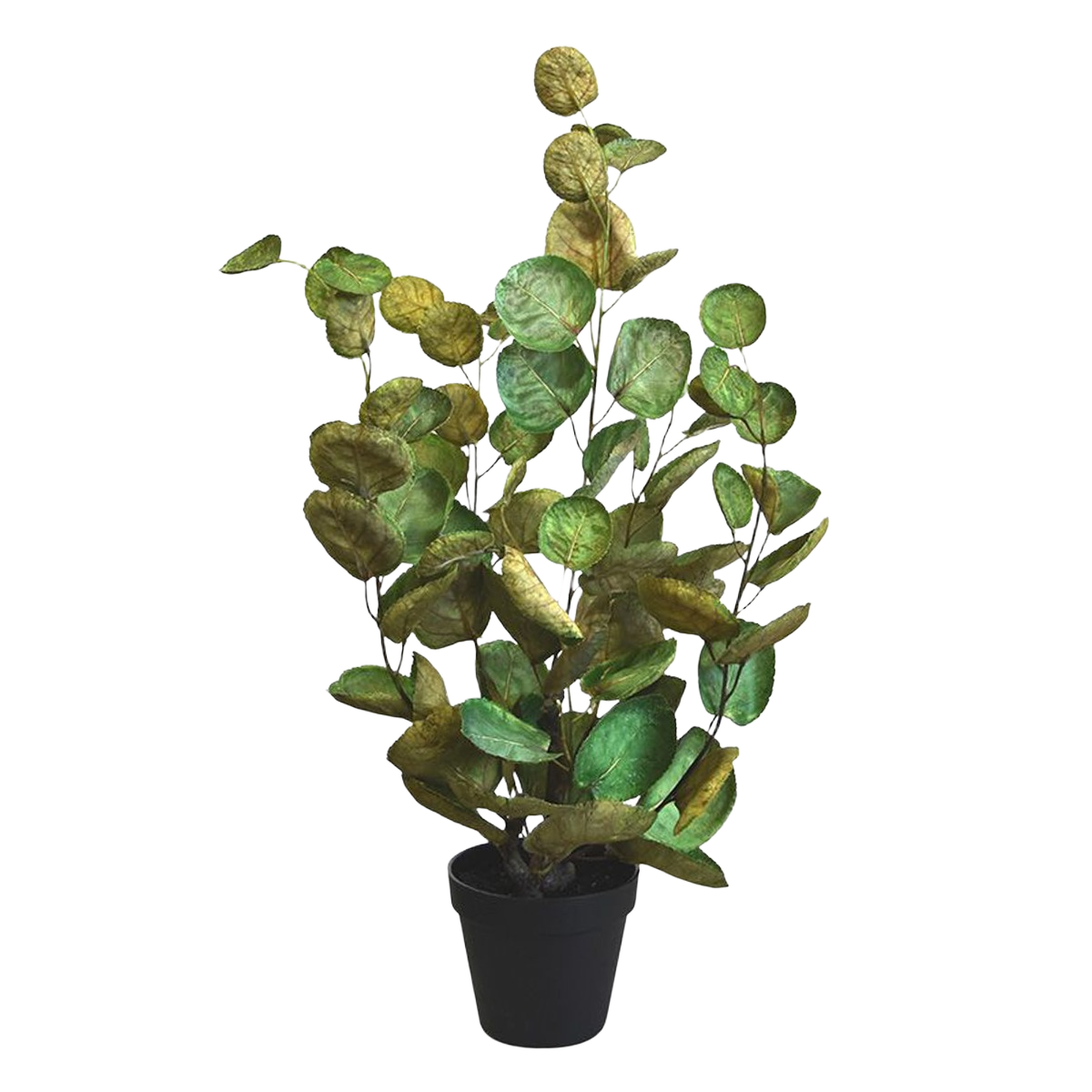 Aralia Polyscias kunstplant 60cm