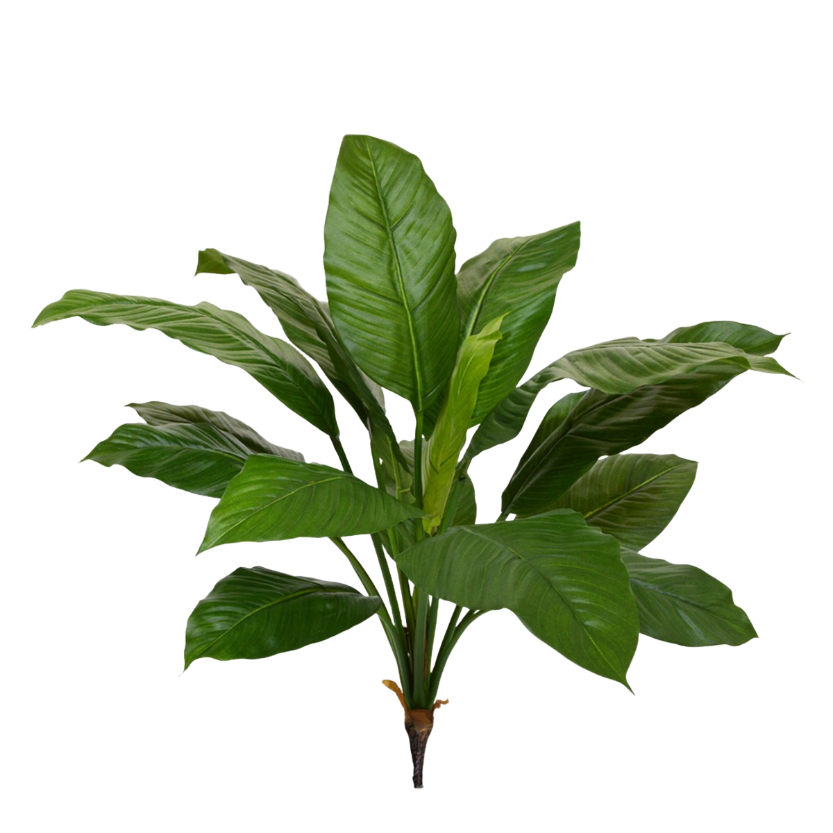 Spathiphyllum King kunstplant 80cm - groen