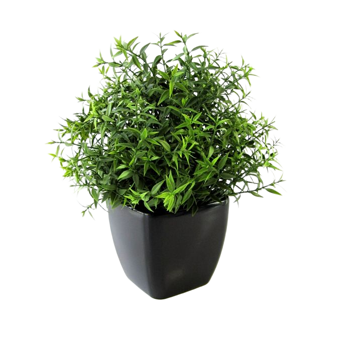 Eucalyptus kunstplant 35cm
