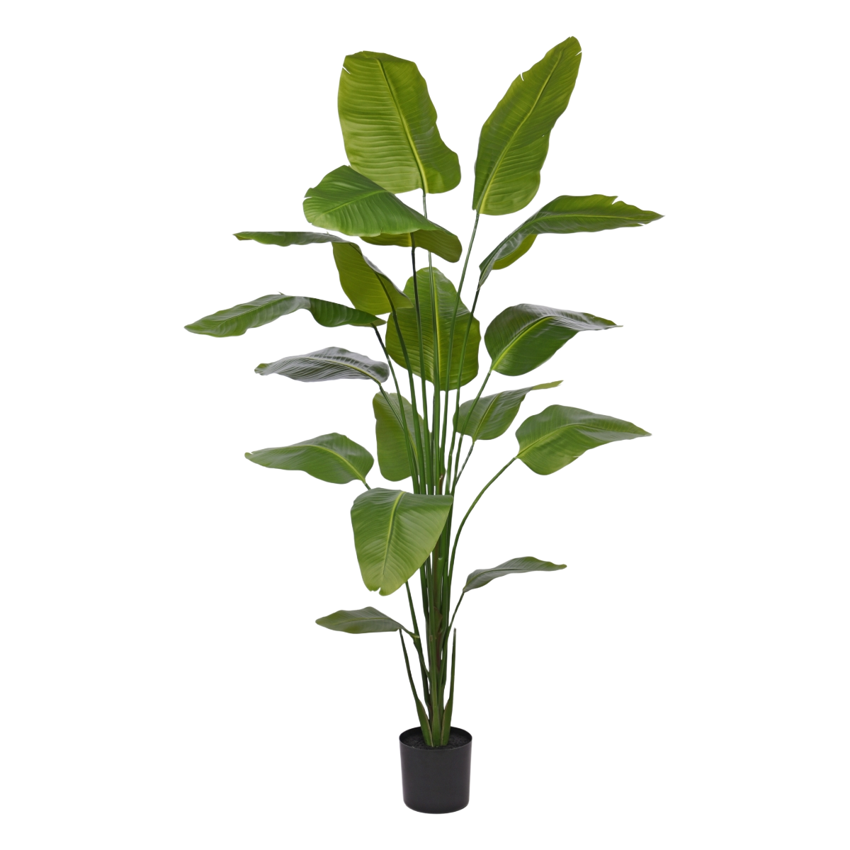 Strelitzia Nicolai kunstplant 210cm