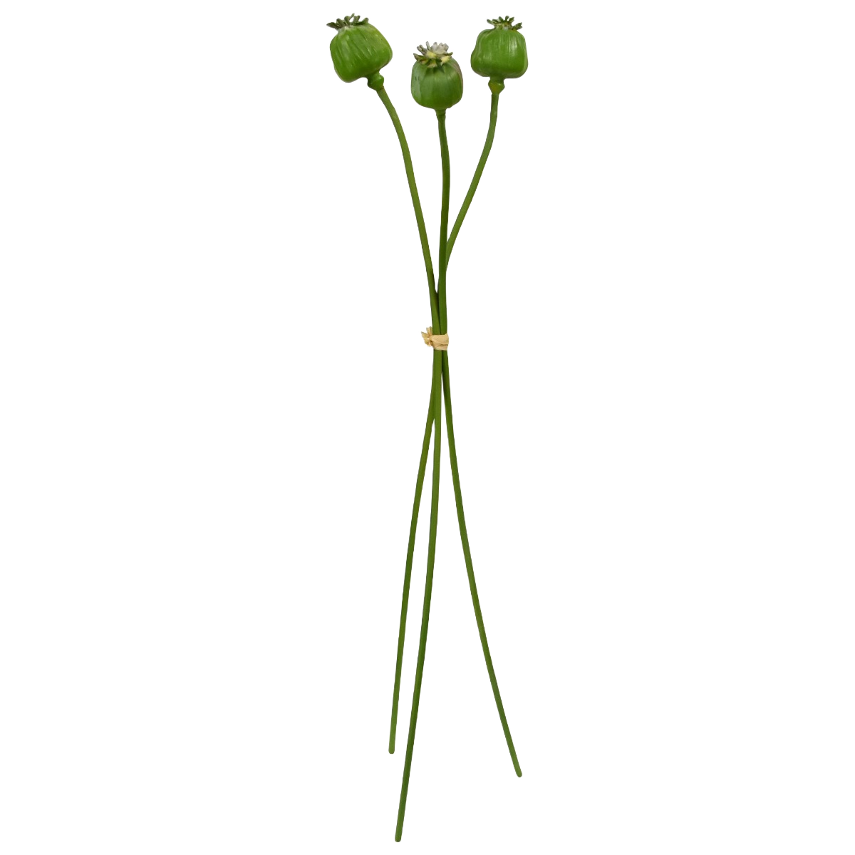 Kunst Papaver bundel x 3 55cm groen
