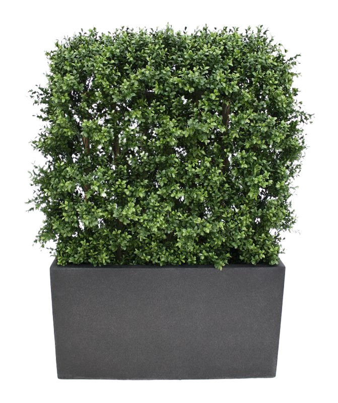 Buxus deluxe kunstheg 80x100cm