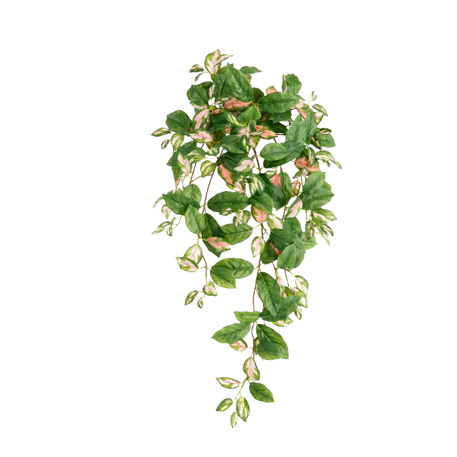 Hoya Carnosa Kunst Hangplant 80cm