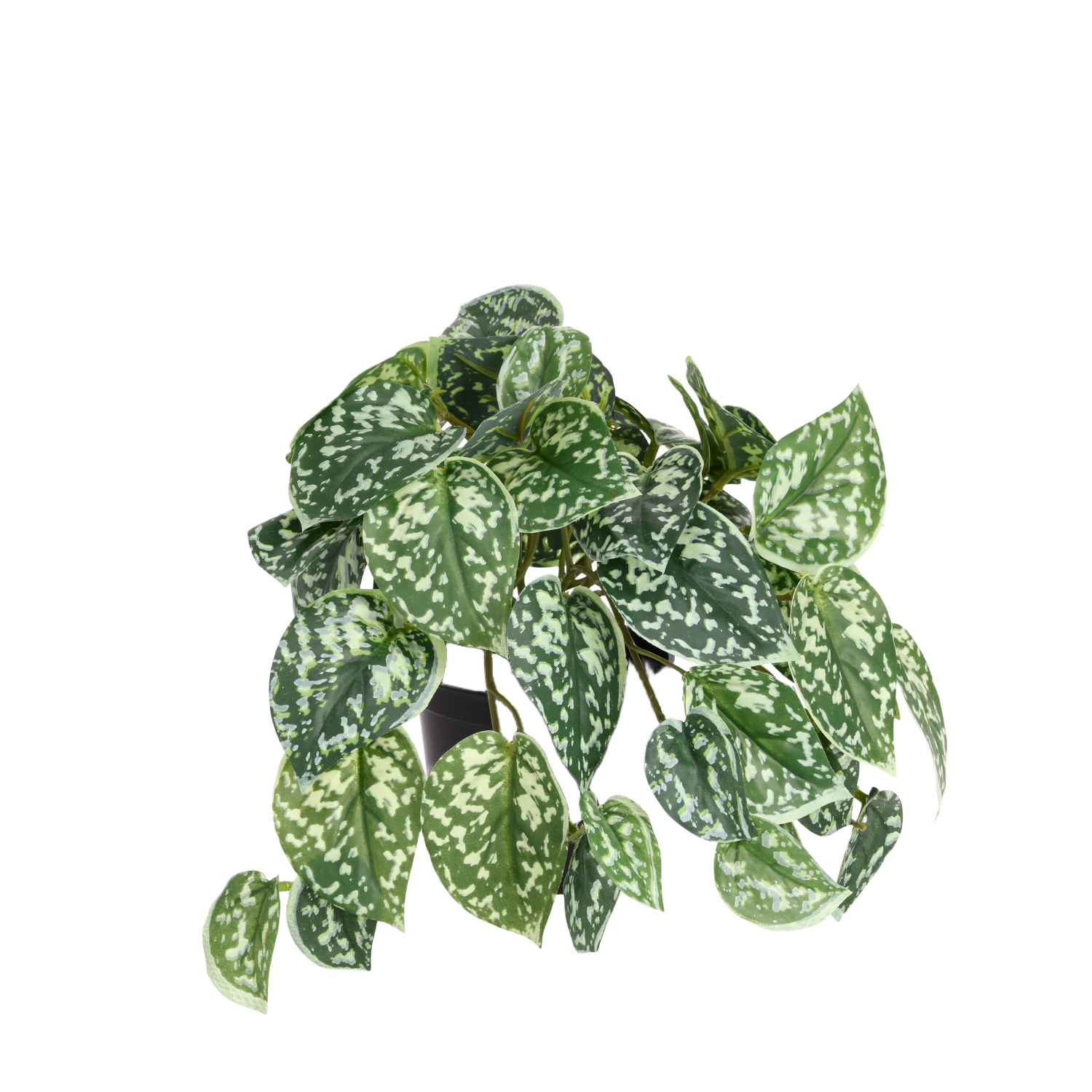 Pictus kunst hangplant 25cm bont in kweekpot