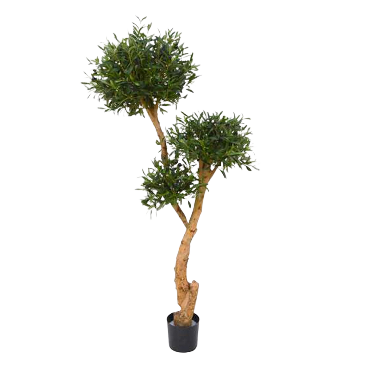 Olijf Bonsai deluxe x3 kunstboom 160cm