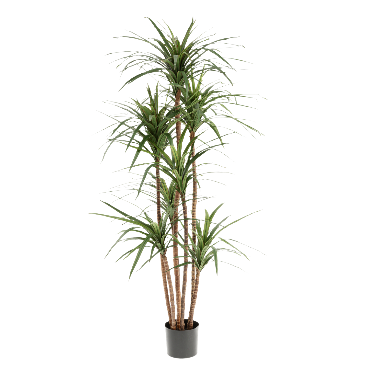 Draceana Marginata Kunstplant Deluxe 160cm