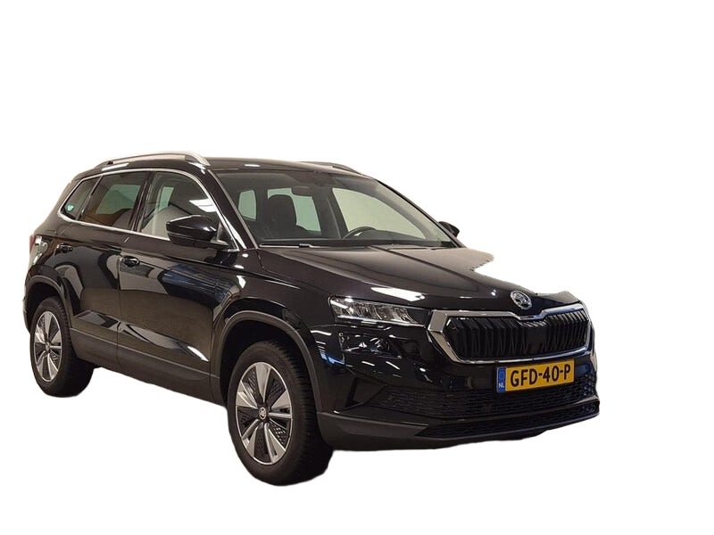 Skoda Karoq occasion