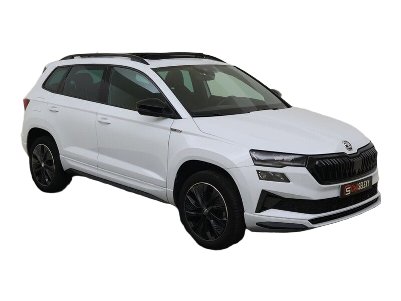 Skoda Karoq occasion