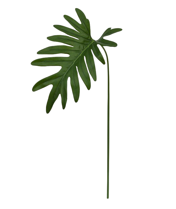 Philo Xanadu blad 55 cm