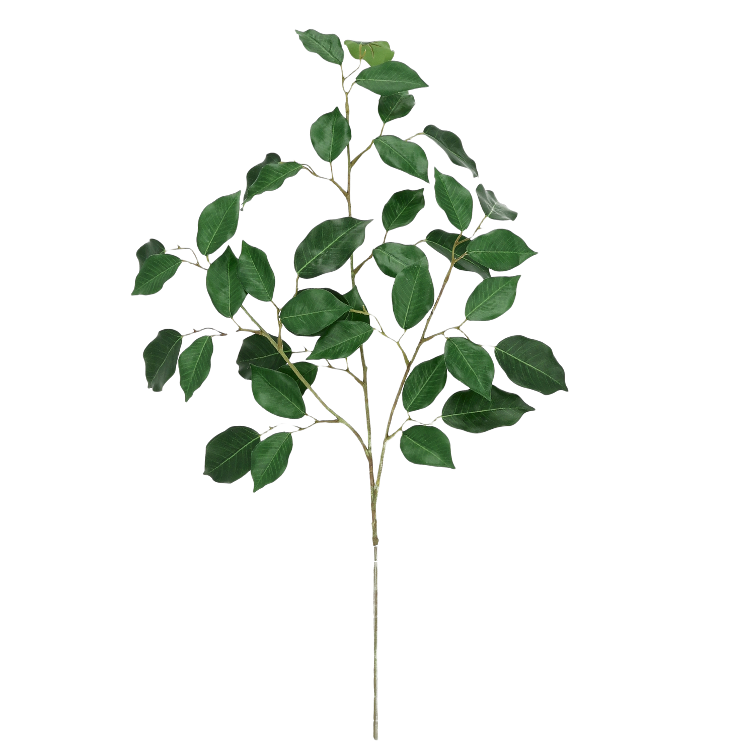Ficus Kunsttak FR 77cm Groen