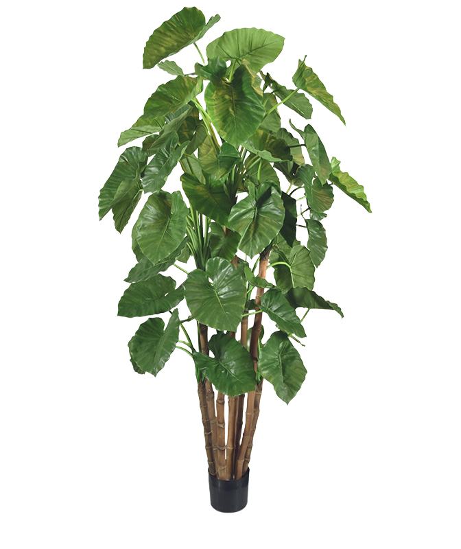 Alocasia Calidora Giant deluxe kunstboom 210cm