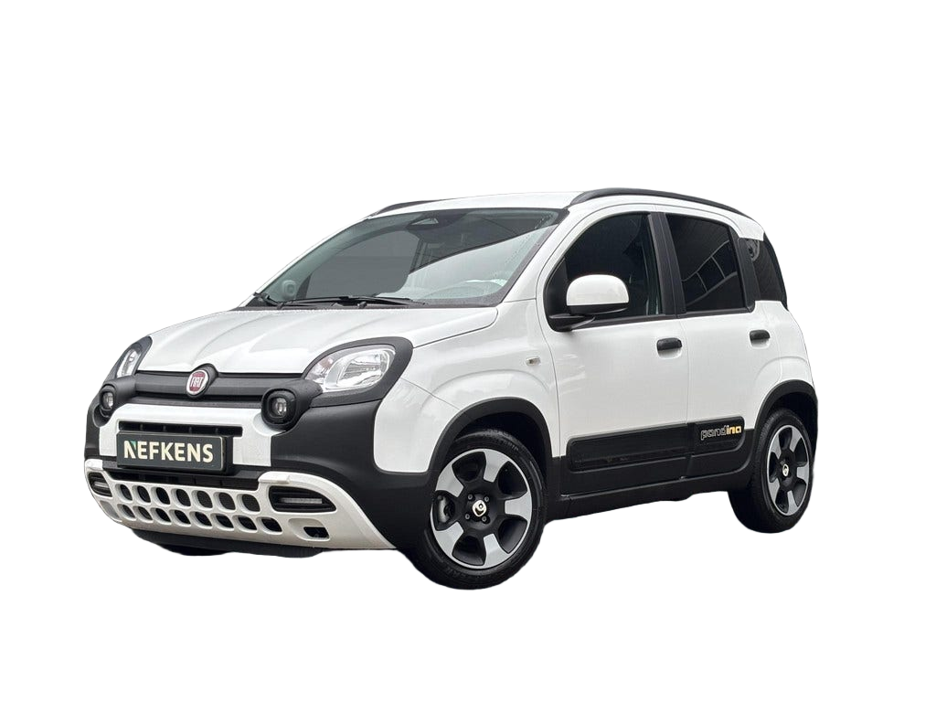 Fiat Pandina