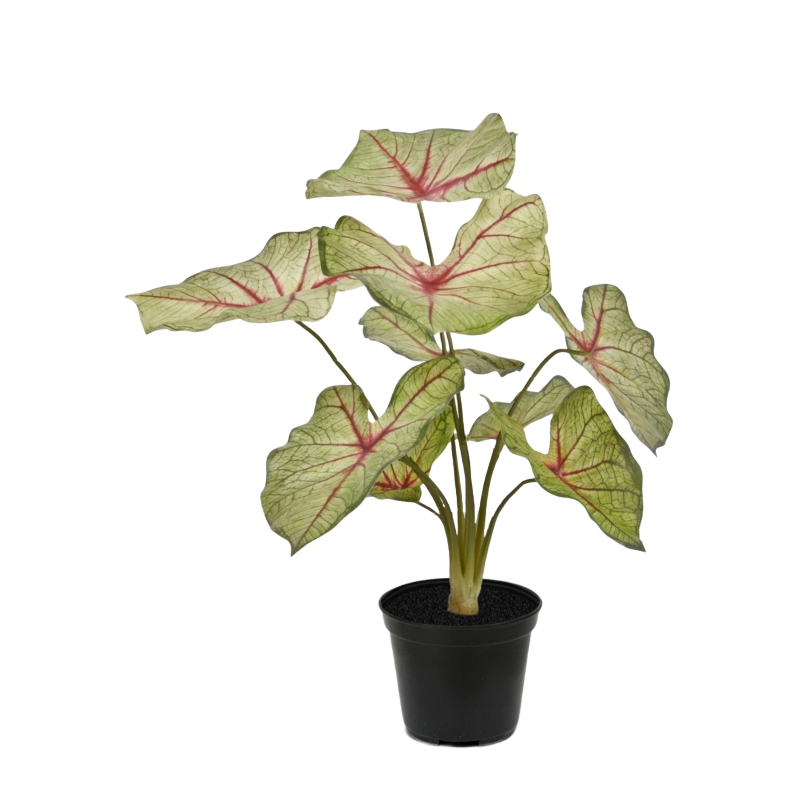 Caladium white queen kunstplant 45cm