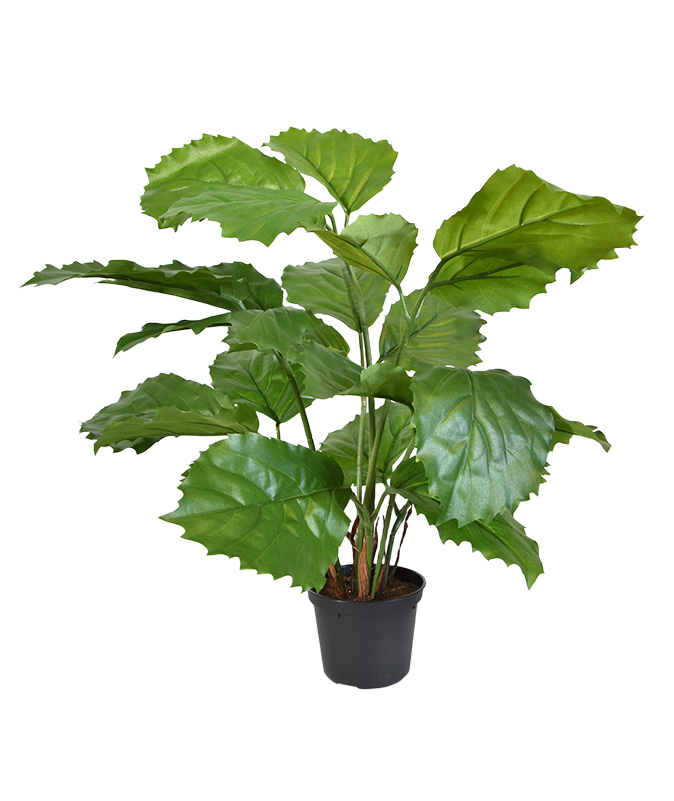 Tetrastigma kunstplant 40cm