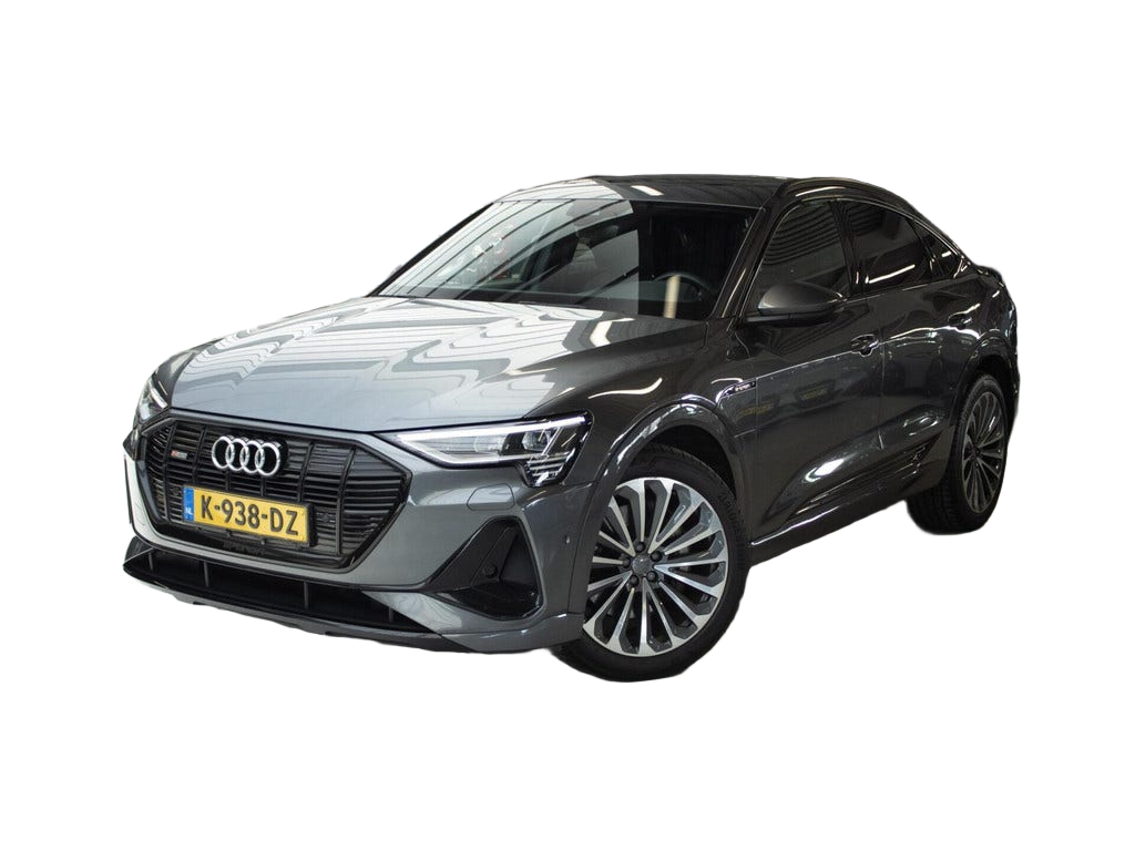 Audi e tron occasion