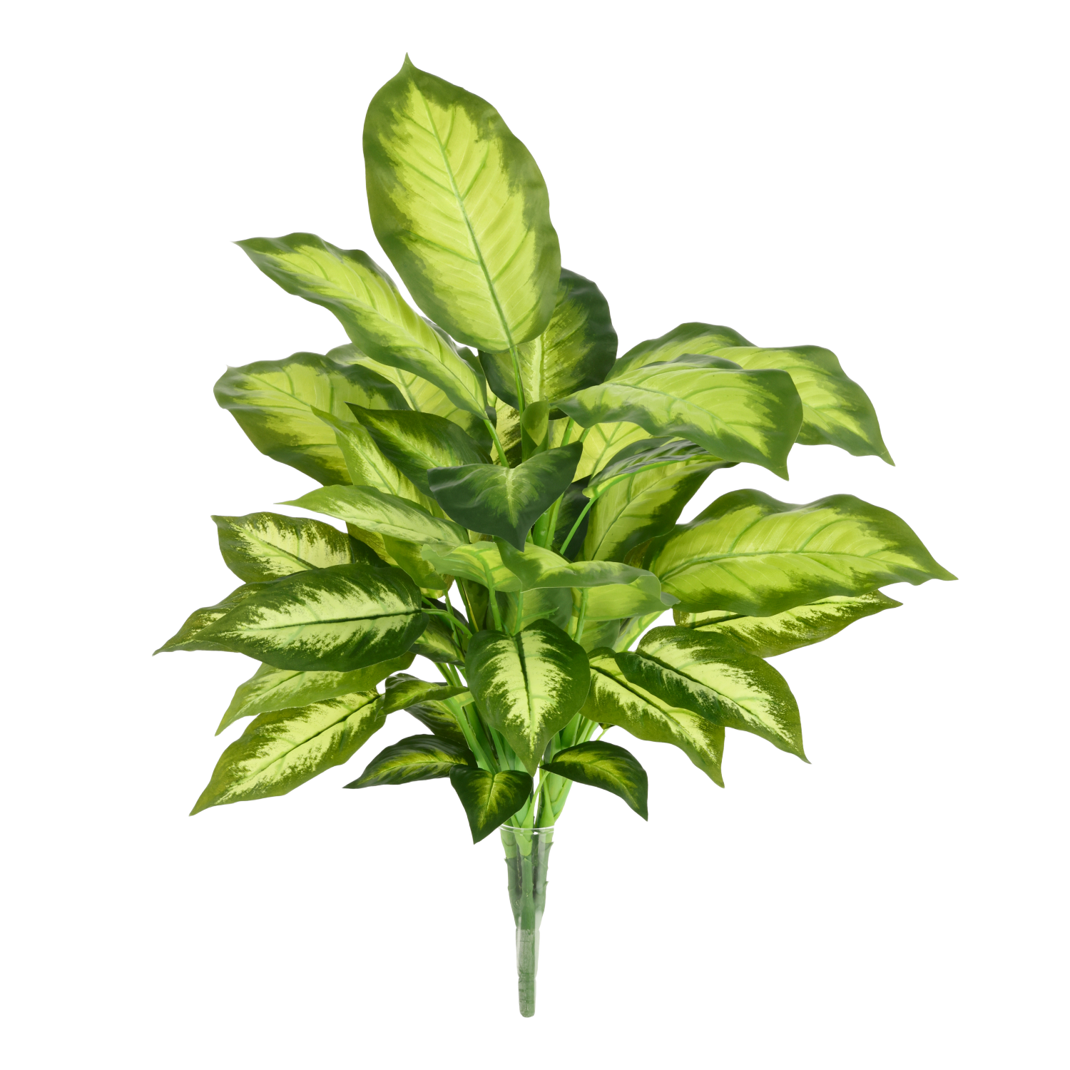 Dieffenbachia Kunstplant 55cm