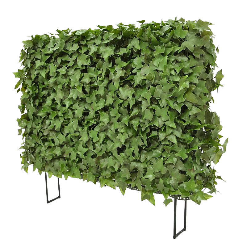 Hedera kunstheg 80x25x56cm - UV bestendig