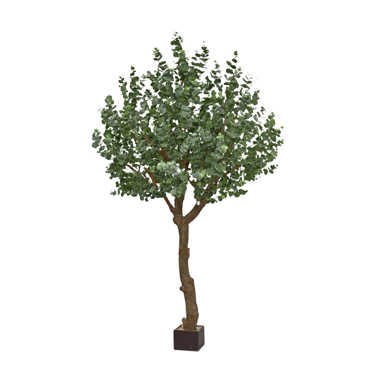 Eucalyptus Kunstboom XL 300cm