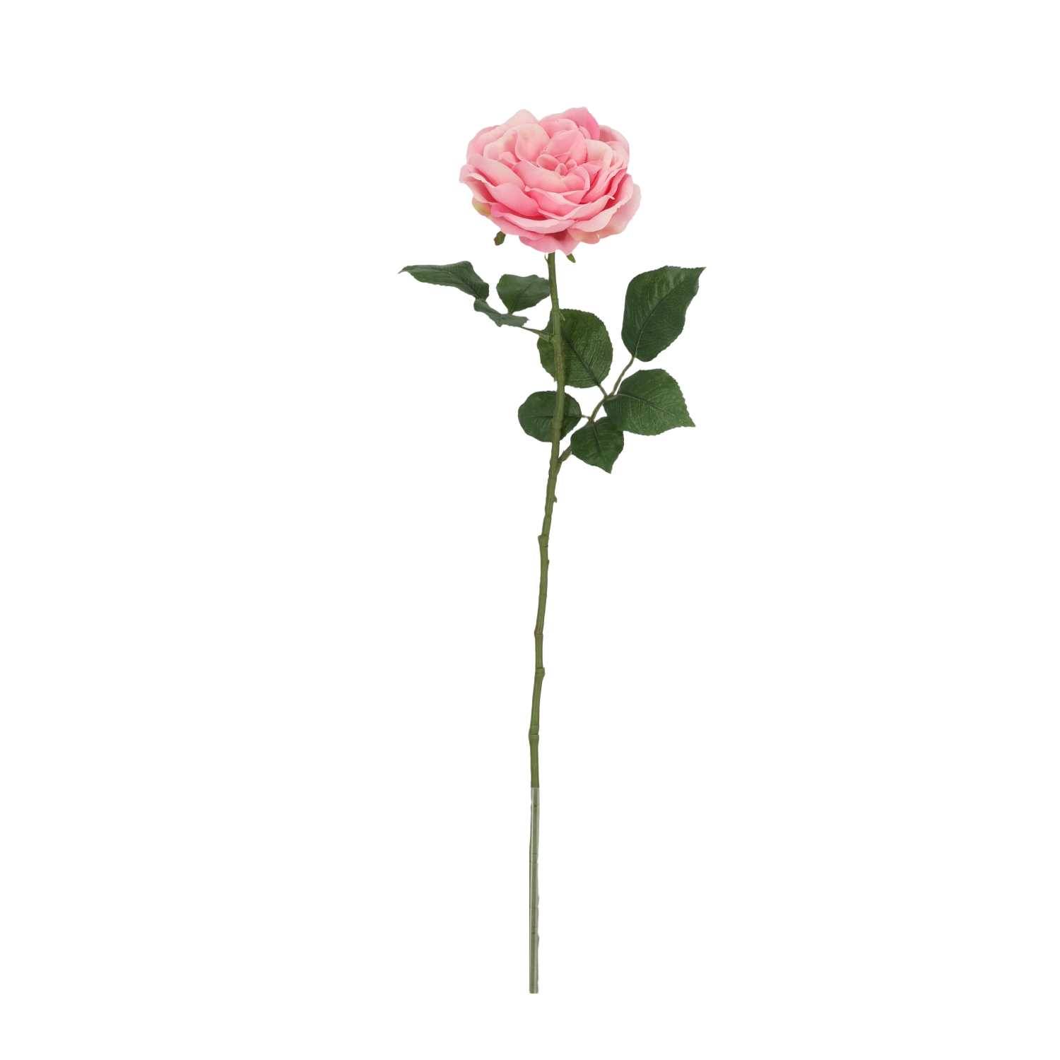 Engelse Tuinroos Kunsttak 56cm Roze