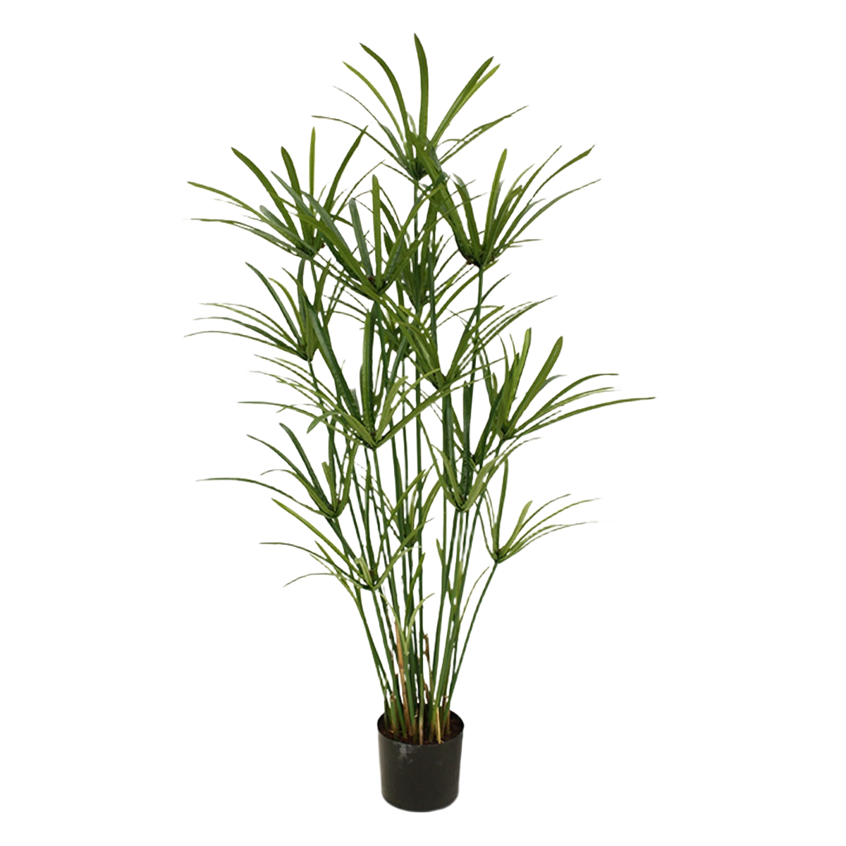 Papyrus deluxe kunstplant 135cm